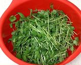 簡単一品♪うまっ♡豆苗のピリ辛おひたし作り方1写真