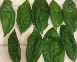 マルゲリータ風春巻き作り方1写真