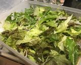 定番！居酒屋の豆腐サラダ作り方1写真