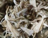 ごま香る❀ 塩舞茸ごはん作り方2写真