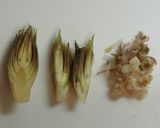 ご飯のお供に♪みょうが味噌作り方1写真