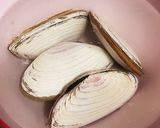 噛むほど旨い♡白貝のバターポン酢酒蒸し作り方1写真