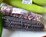 黒もちトウモロコシ（もちきび）ご飯♪作り方1写真