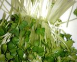 ♥簡単さっぱりカニカマの酢の物♥作り方3写真
