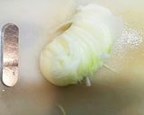 節約☆だけど豪華！ストライプのっけ盛り作り方2写真