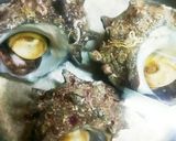 簡単!柔らかくてさっぱり☆サザエの湯煮♪作り方2写真