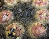 豚と茄子の唐揚げ♪絶品甘酢漬け☆作り方4写真
