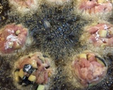豚と茄子の唐揚げ♪絶品甘酢漬け☆作り方4写真