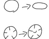 くるみパンとくるみレーズンパン作り方10写真