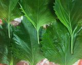 簡単な鶏肉大葉チーズ巻き作り方2写真