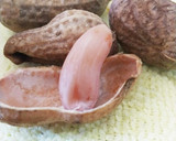おおまさりの塩茹で（圧力鍋使用）作り方7写真