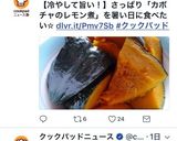 ❖冷やして美味しい♪南瓜のレモン煮❖作り方9写真