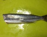 トビウオのお刺身(さばき方)作り方1写真