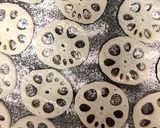 マイルド☆からし醤油のレンコンはさみ焼き作り方2写真