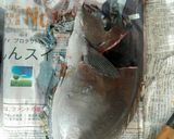 ニザダイの捌き方と生姜入り絡め焼き作り方3写真