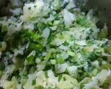 冷凍用野菜たっぷり‼餃子❗ゆりさん風作り方2写真