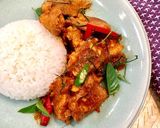 簡単！ 本格タイ料理 ☆ パネンカレー作り方6写真