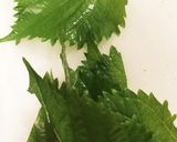 パリパリ食感のジュシーささみ梅肉春巻き作り方1写真