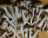 簡単♬小松菜と白滝 鶏むね肉の和風煮❀作り方1写真