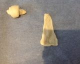 ココナッツオイル ロール作り方2写真
