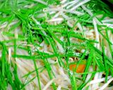 モヤシ ちゃんこ鍋 ［塩仕立てVer.］作り方21写真