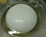 なすのからし漬け作り方4写真