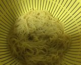 丸美屋麻婆豆腐の素冷やし中華作り方3写真