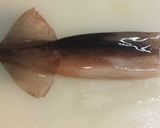 いかの塩辛作り方5写真