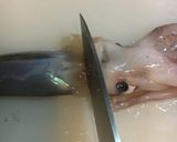 いかの塩辛作り方36写真