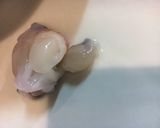 いかの塩辛作り方40写真
