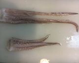 いかの塩辛作り方42写真