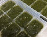 胡桃で手軽バジルソース（バジルペースト）作り方19写真