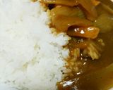 鶏皮油と玉ねぎのカレー作り方9写真