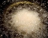 わが家のほくほくコロッケと綺麗な揚げ方作り方16写真
