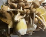 香味ペーストで簡単、絶品ホイル焼き作り方3写真