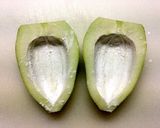 ヘルシーで美味し〜♪青パパイヤの肉詰め作り方3写真