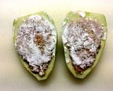 ヘルシーで美味し〜♪青パパイヤの肉詰め作り方4写真