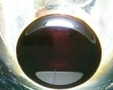 身がふっくら☆ぶりの照り焼き♥簡単☆早い作り方1写真