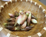 おばあちゃんから教わったみょうが混ぜご飯作り方1写真