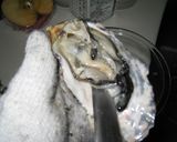 冬季限定★殻つき牡蠣の剥き方と食し方二種作り方7写真
