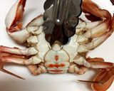 渡蟹の下処理作り方5写真