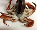 渡蟹の下処理作り方6写真