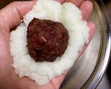 2時間あれば作れちゃう✨簡単おはぎ作り方10写真