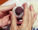 道明寺粉で簡単!美味しい★お萩作り方11写真