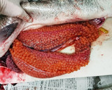 魚屋さん簡単秋鮭捌き方から筋子取り出し方作り方9写真