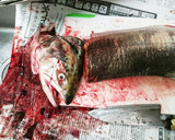 魚屋さん簡単秋鮭捌き方から筋子取り出し方作り方14写真