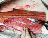 魚屋さん簡単秋鮭捌き方から筋子取り出し方作り方17写真