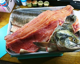 魚屋さん簡単秋鮭捌き方から筋子取り出し方作り方19写真