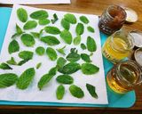 ミント保存方法&何にでもミントメープル作り方4写真