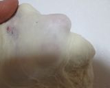 ポーリッシュ法で感動のふわふわ食パン作り方8写真